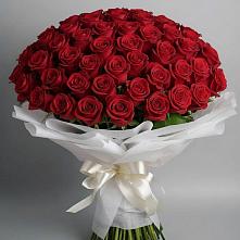 Букет 101 Красная роза Блэк Мэджик в Галашках