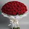 Букет 101 Красная роза Блэк Мэджик в Галашках
