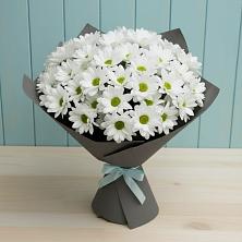 Букет цветов из:  Хризантемы в Галашках