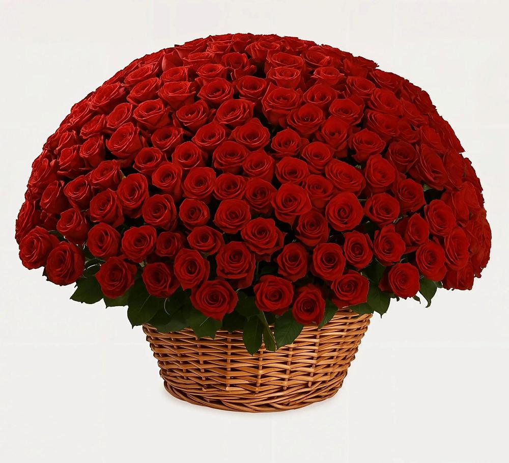 Премиум букет из: Розы в Галашках