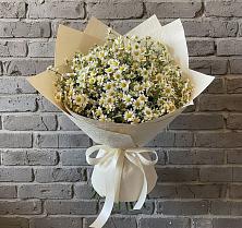 Букет цветов из:  Ромашки в Галашках