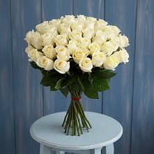 Букет 51 Белая роза Эдлесс Лав в Галашках