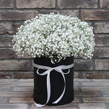 Цветочная композиция из Гипсофила в шляпной коробке в Галашках