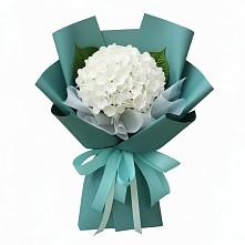 Букет цветов из:  Гортензия в Галашках